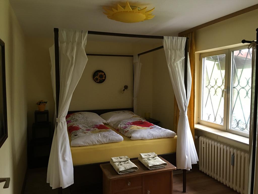 Large Wuerzburg Apartment 外观 照片
