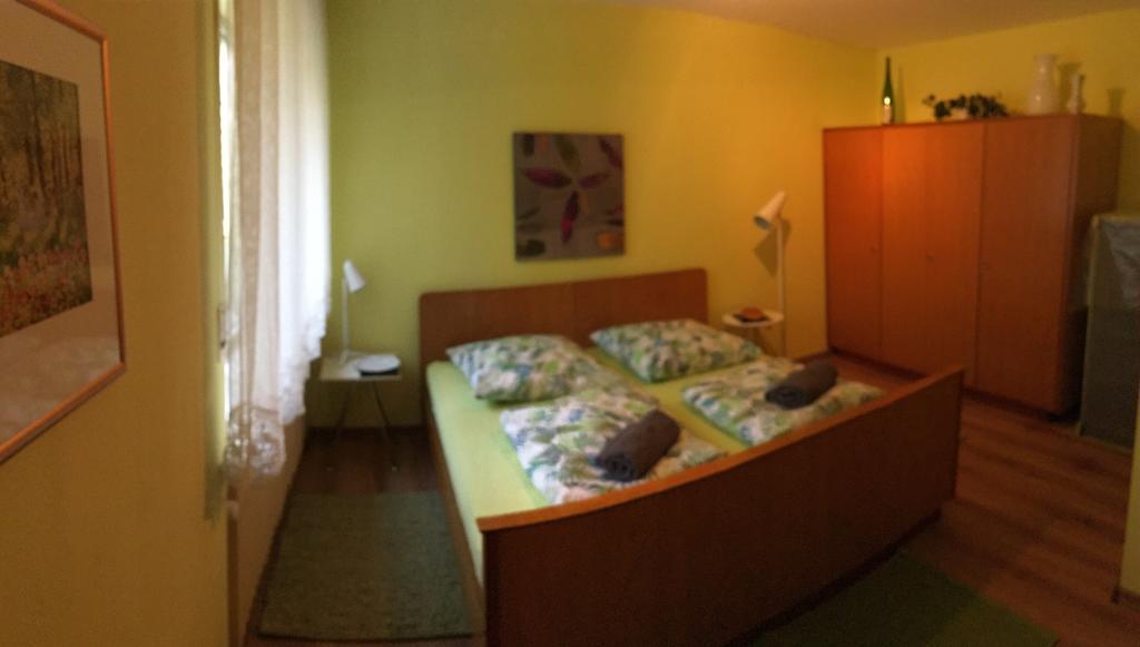 Large Wuerzburg Apartment 外观 照片